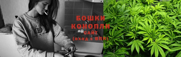 стафф Зерноград