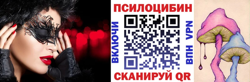 Купить где  Вельск  Псилоцибиновые грибы Psilocybine cubensis 